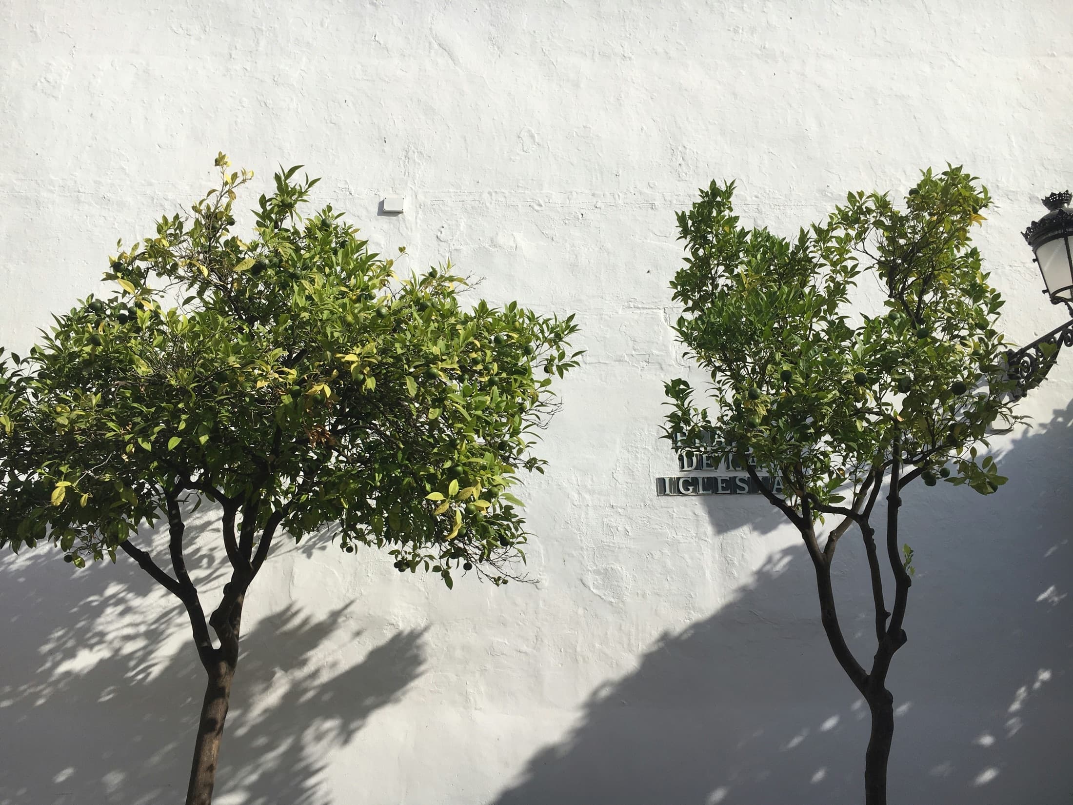 Straatje in de oude binnenstad van Marbella